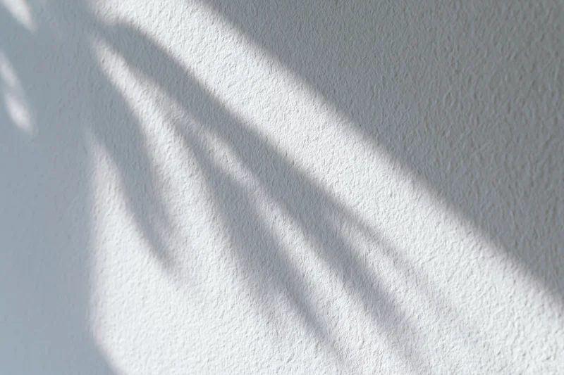 White textured wall with soft dappled leaf shadows from sunlight