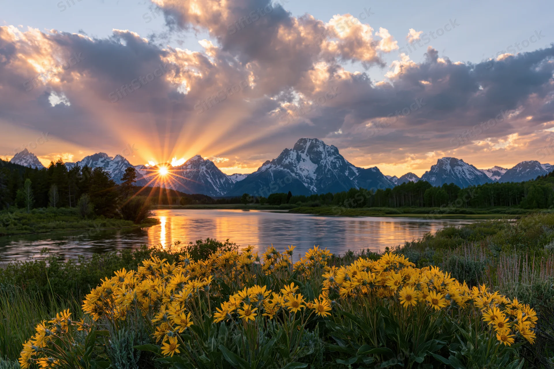 Snow-capped mountain range at golden hour reflected in calm river with yellow wildflowers in foreground
