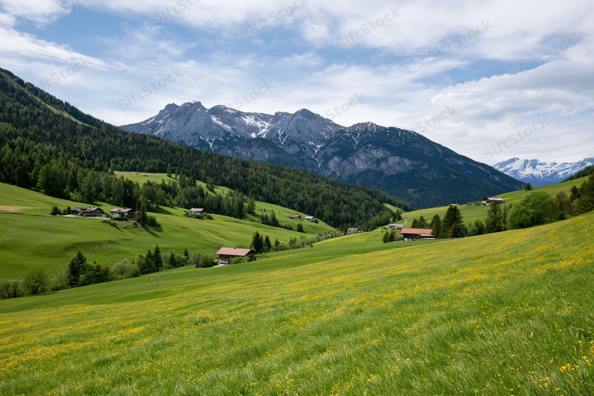 Rolling green meadows dotted with yellow flowers and scattered farmhouses in an alpine valley under a partly cloudy sky
