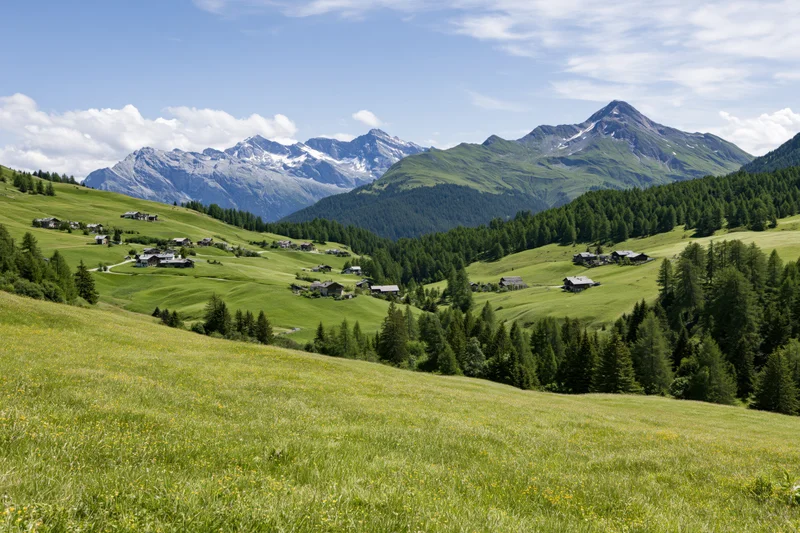 Rolling green meadows dotted with wooden cabins in an alpine valley under snow-capped mountains
