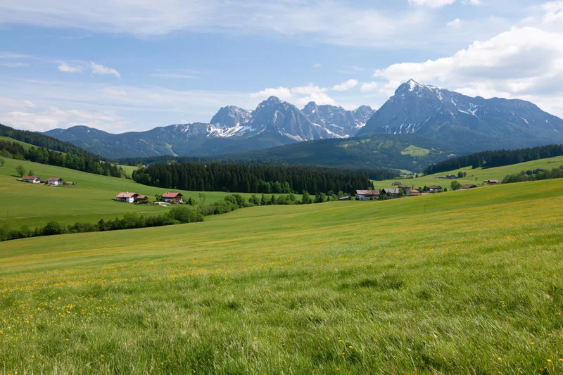 Rolling green meadows with scattered farmhouses and snow-capped alpine mountains in the background