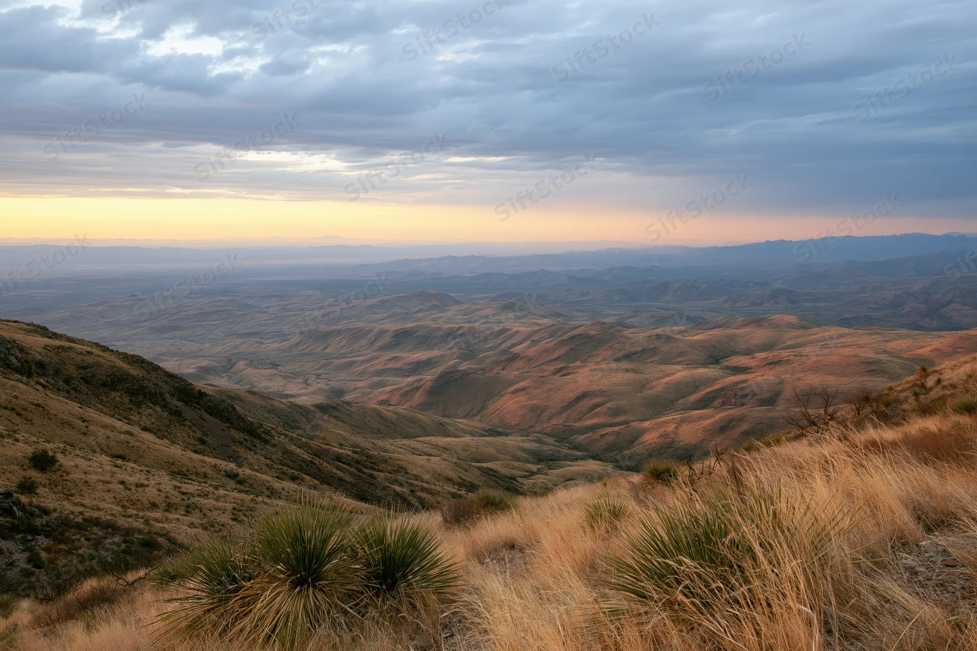Wide view of chihuahuan desert valley at sunset with rolling hills and sparse yucca plants