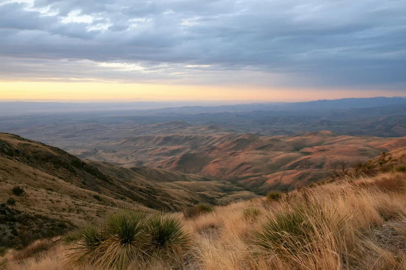 Wide view of chihuahuan desert valley at sunset with rolling hills and sparse yucca plants