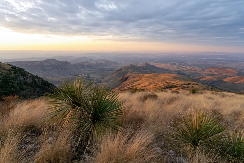 Wide view of chihuahuan desert valley at sunset with yucca plants and distant mountains