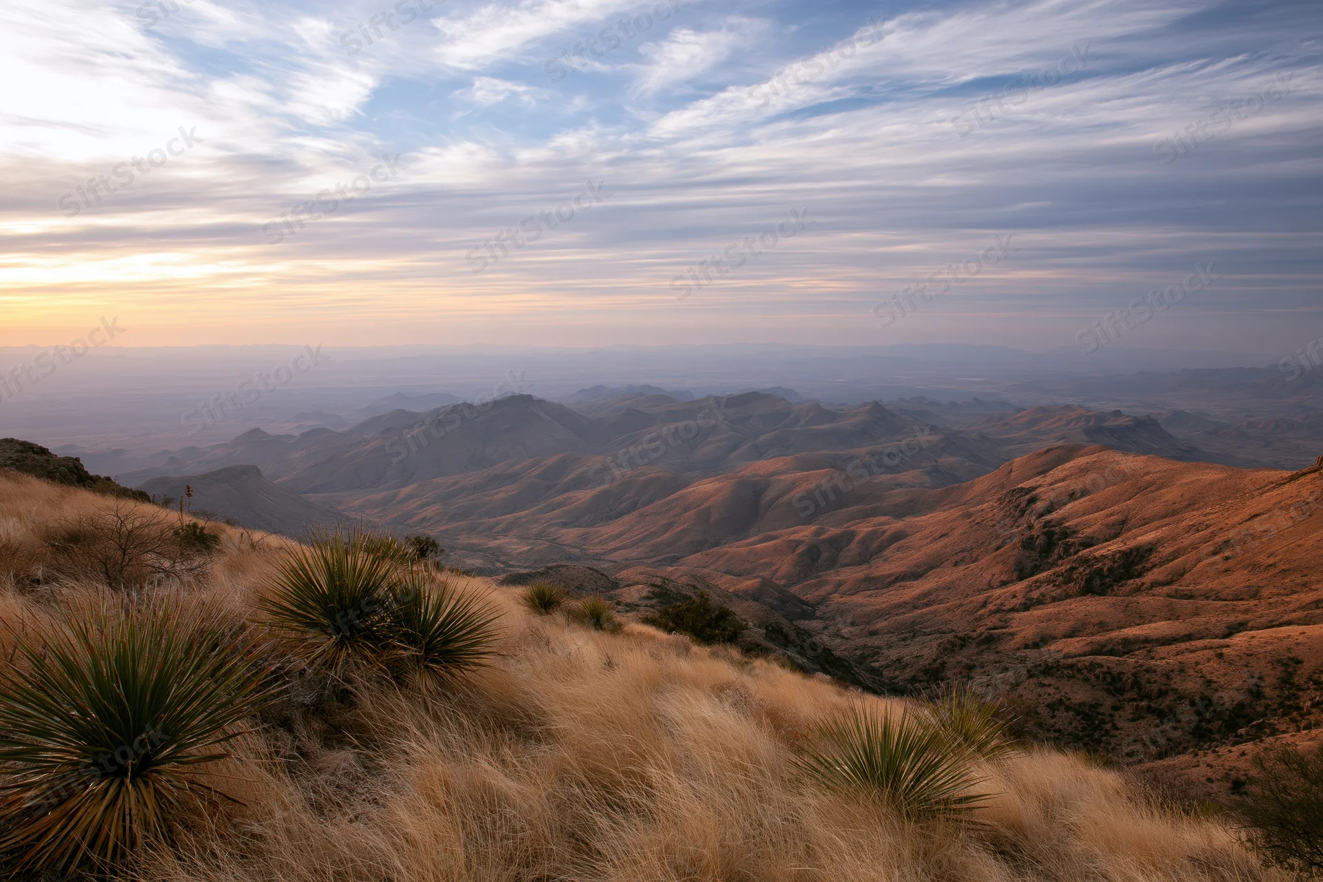 Wide view of a chihuahuan desert valley at sunset with yucca plants and rolling hills under a cloudy sky