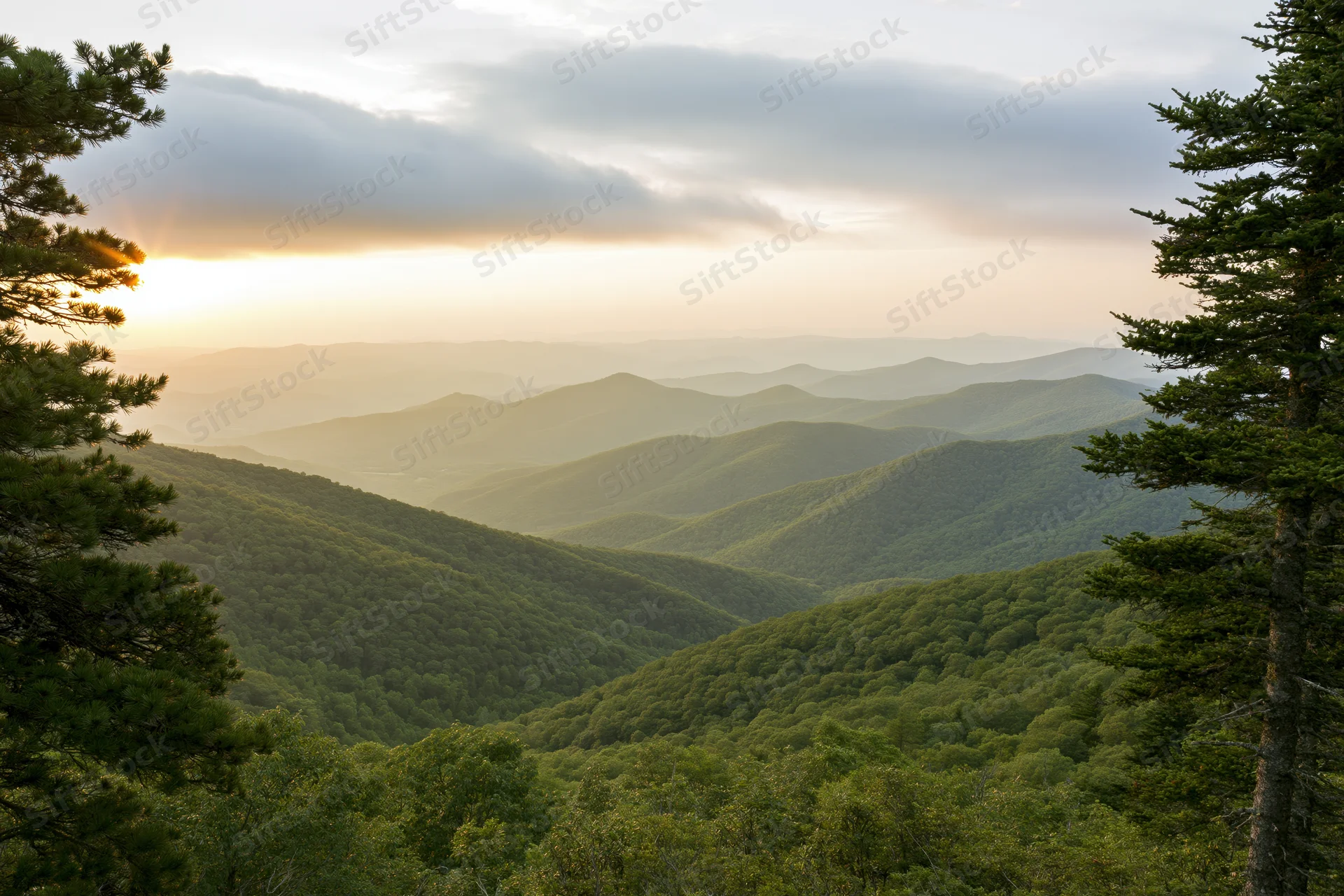 Layered green mountain ridges receding into the distance under a soft sunset sky framed by pine trees