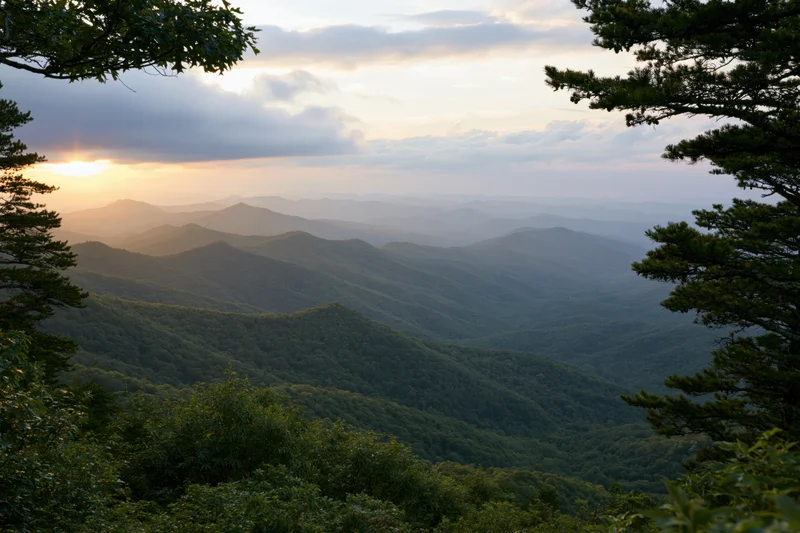 Layered green mountain ridges receding into the distance at sunset, framed by trees in the foreground