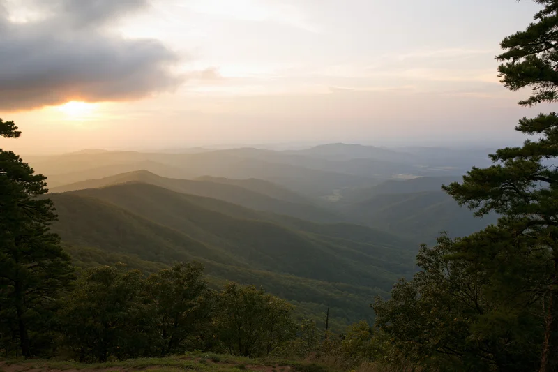 Layered green mountain ridges receding into the distance at sunset with forested slopes and scattered pine trees in the foreground