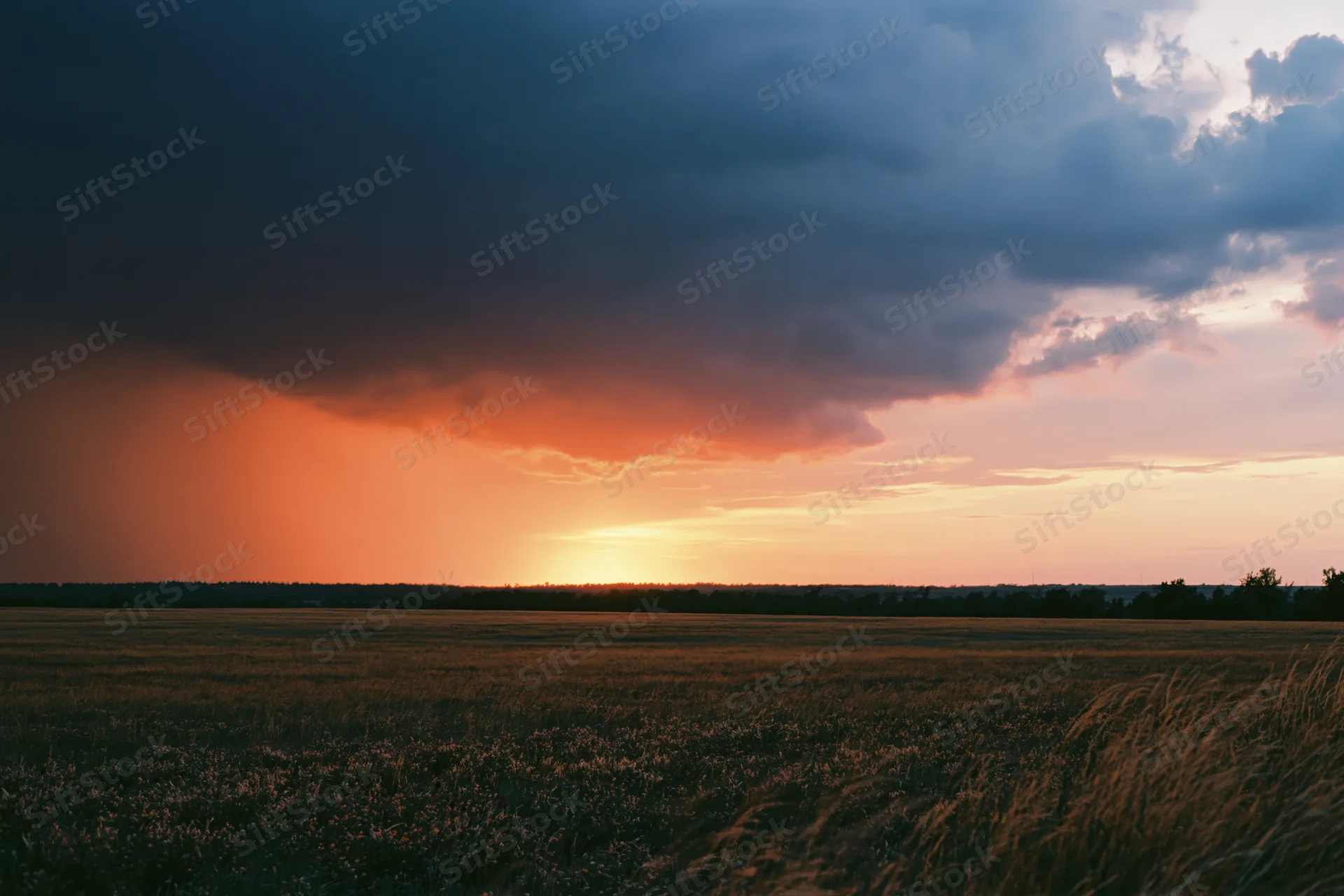Wide open grassland at golden hour with storm clouds and sunset on the horizon