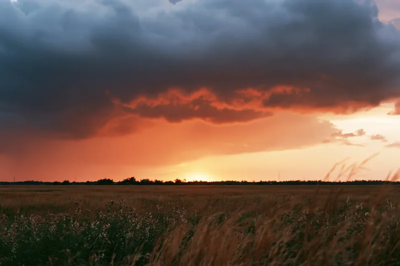 Wide grassland at golden hour with sun touching the horizon under dramatic clouds