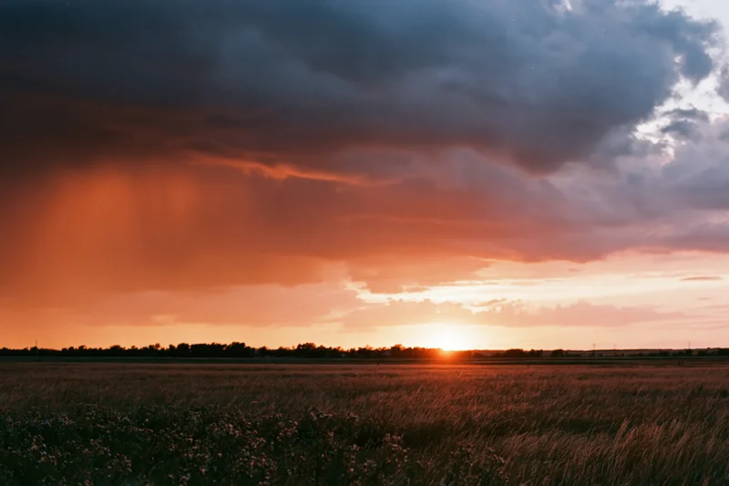 Wide grassland at golden hour with sun touching the horizon under dramatic storm clouds