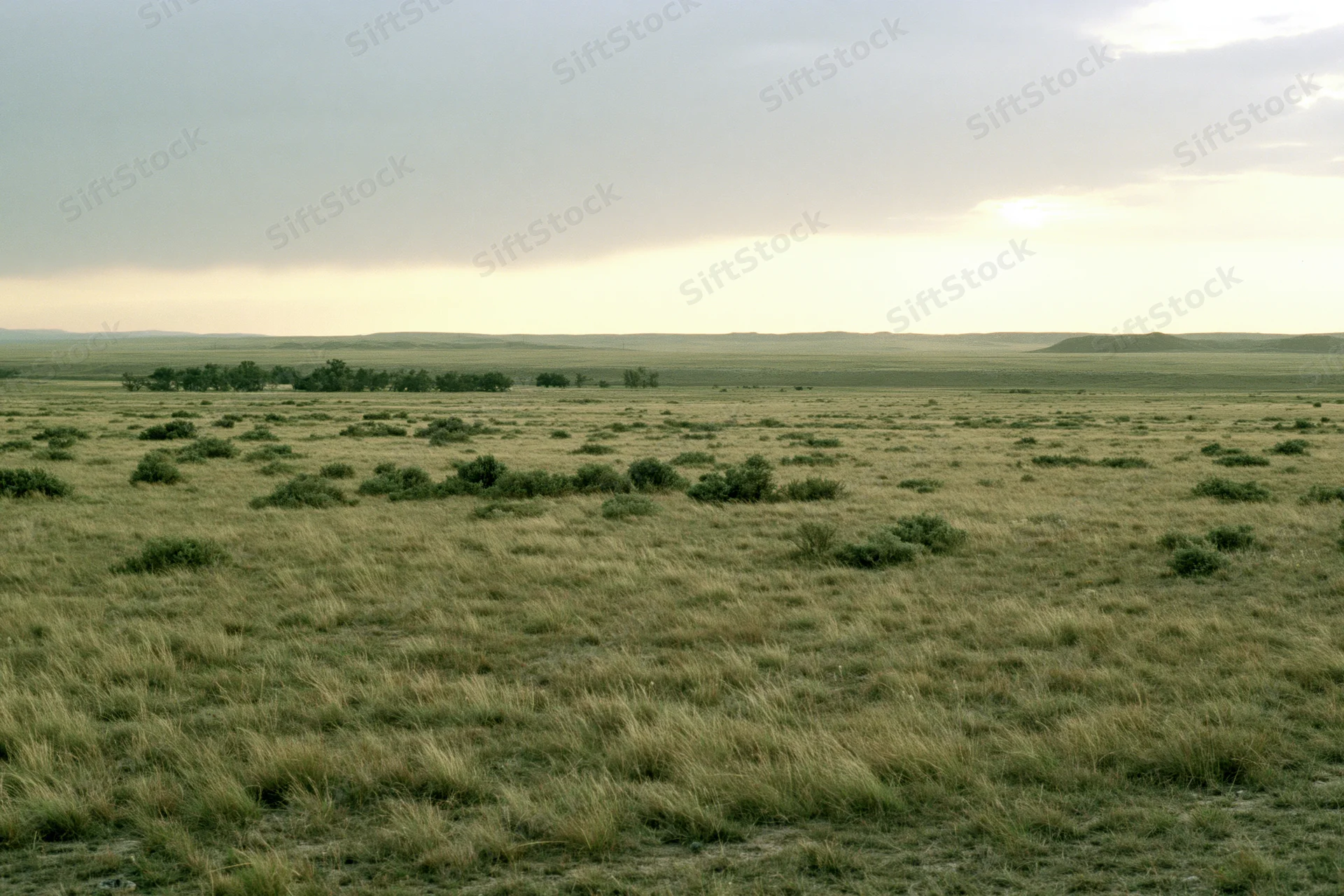 Wide open grassland prairie stretching to a flat horizon under an overcast sky at dusk
