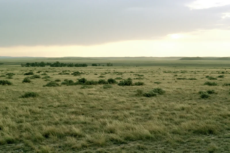 Wide open grassland prairie stretching to a flat horizon under an overcast sky at dusk