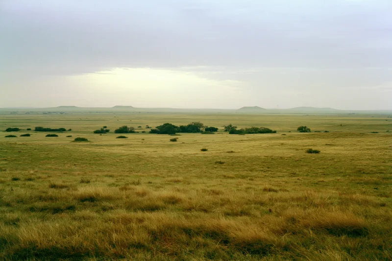 Wide open grassland prairie stretching to a flat horizon with scattered shrubs and distant hills under an overcast sky