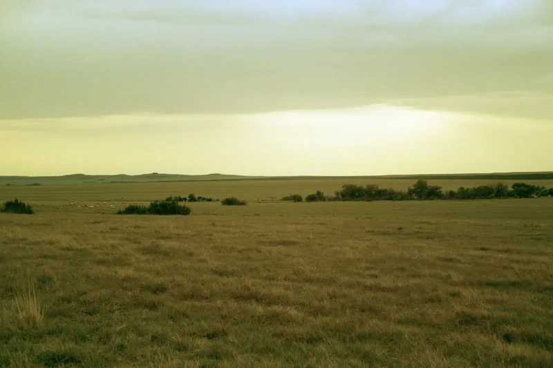 Wide open grassland prairie stretching to a flat horizon under an overcast sky