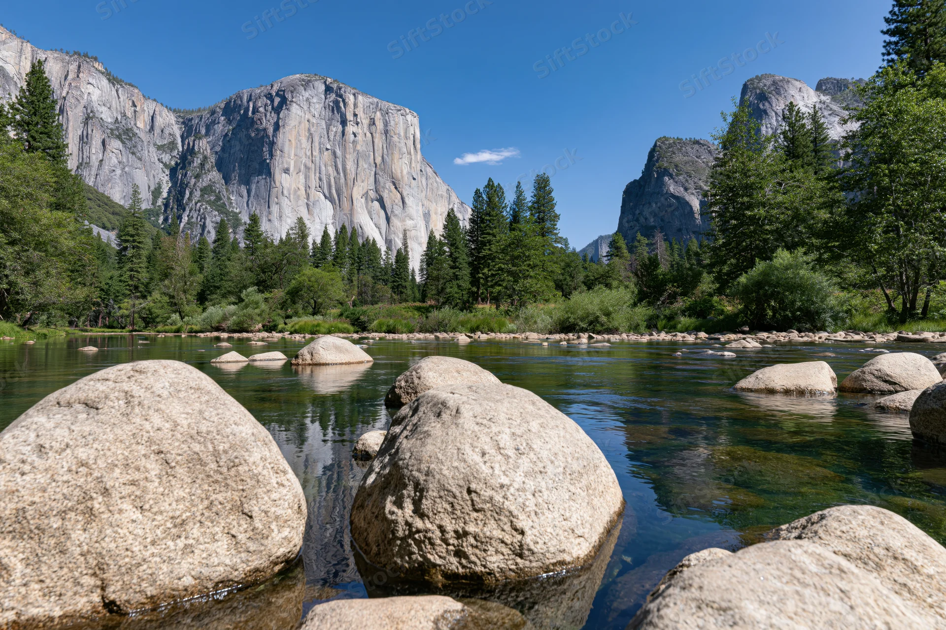 River flowing through yosemite valley with granite cliffs and pine trees in the background