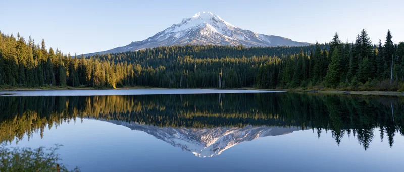 Snow-capped mountain reflected in calm lake surrounded by dense evergreen forest