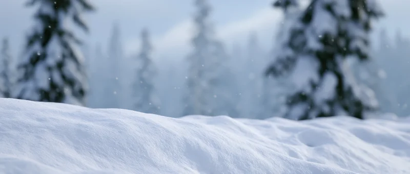 Snow-covered ground in a winter forest with blurred evergreen trees in the background