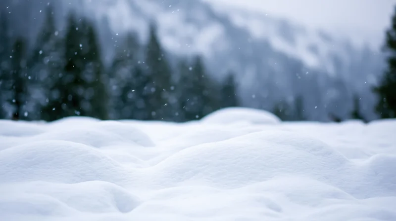 Snow-covered ground with drifting snow in front of blurred evergreen forest and mountains