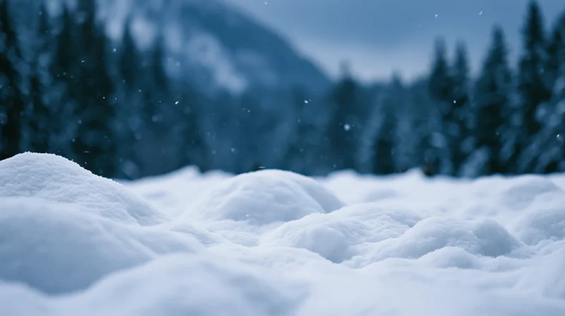 Snow-covered ground with pine trees and mountains in the background during winter snowfall