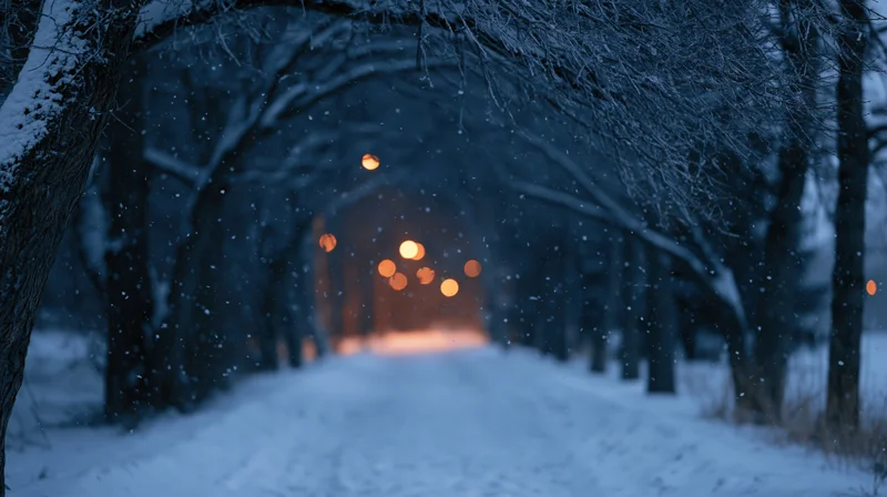 Snow-covered path through a tree tunnel at night with glowing lights in the distance
