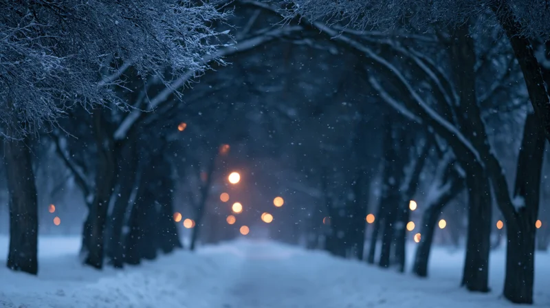 Snow-covered pathway lined with trees and glowing lights at night in winter forest