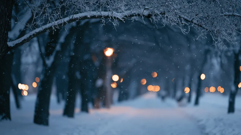 Snow-covered trees arching over a pathway in a winter forest at night with glowing streetlights in the distance