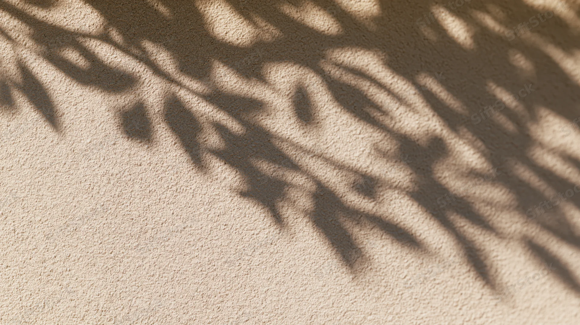 Leaf shadows cast on a textured beige wall in sunlight