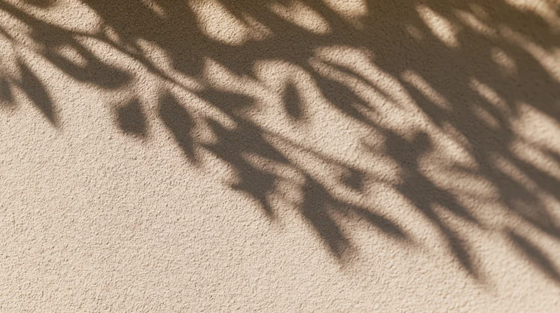 Leaf shadows cast on a textured beige wall in sunlight