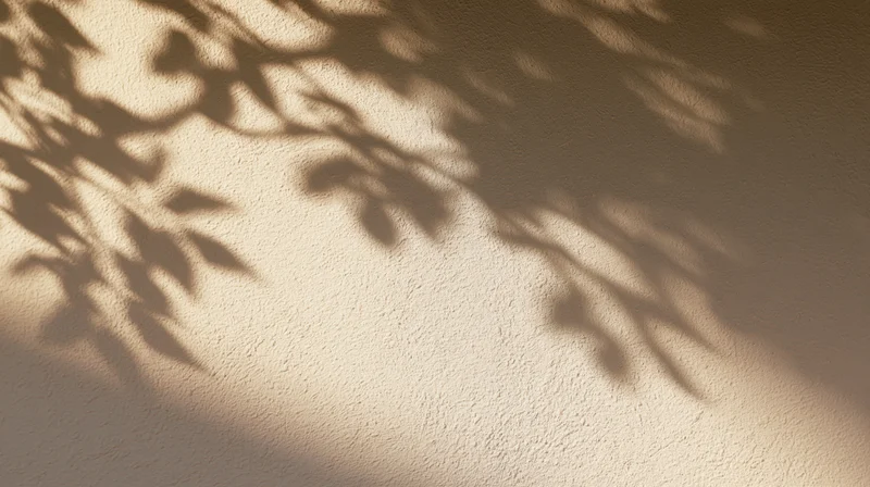 Leaf shadows cast on a textured wall by sunlight