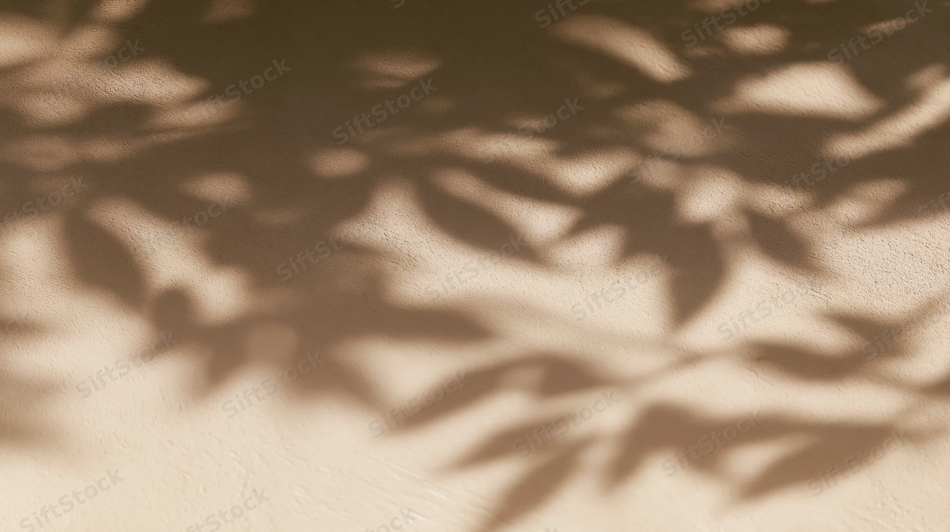 Leaf shadows cast on a textured beige wall in soft natural light