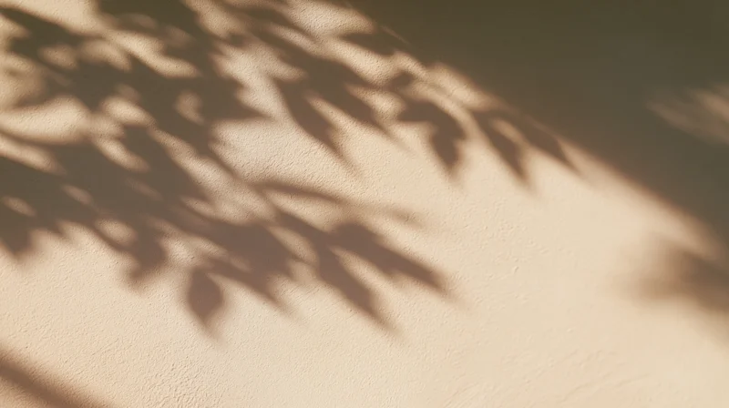 Leaf shadows cast on a textured beige wall in soft sunlight