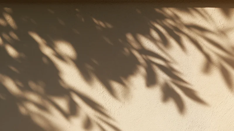Leaf shadows cast on a textured beige wall in natural sunlight