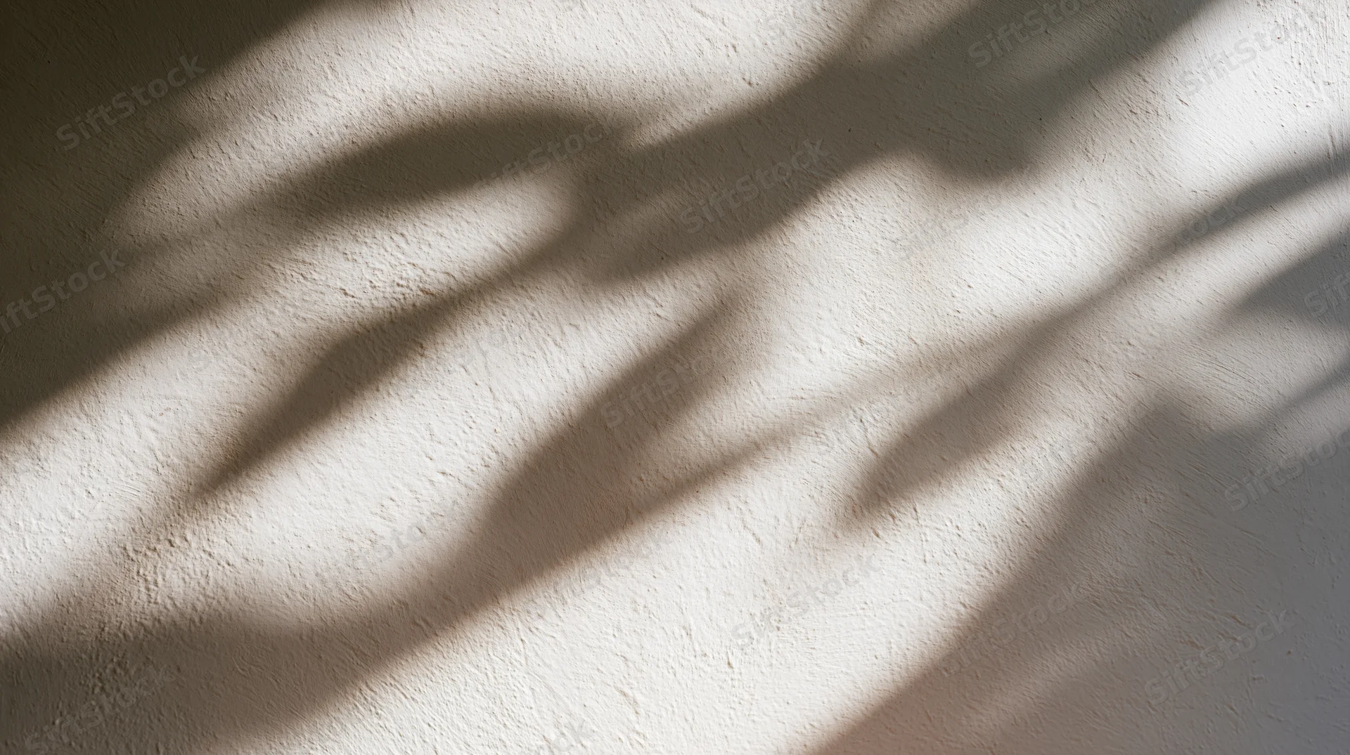 Leaf shadows cast on a textured wall by sunlight