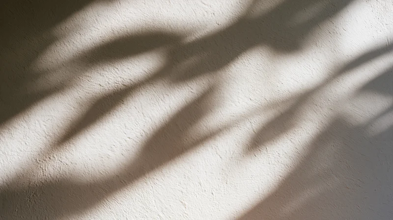 Leaf shadows cast on a textured wall by sunlight