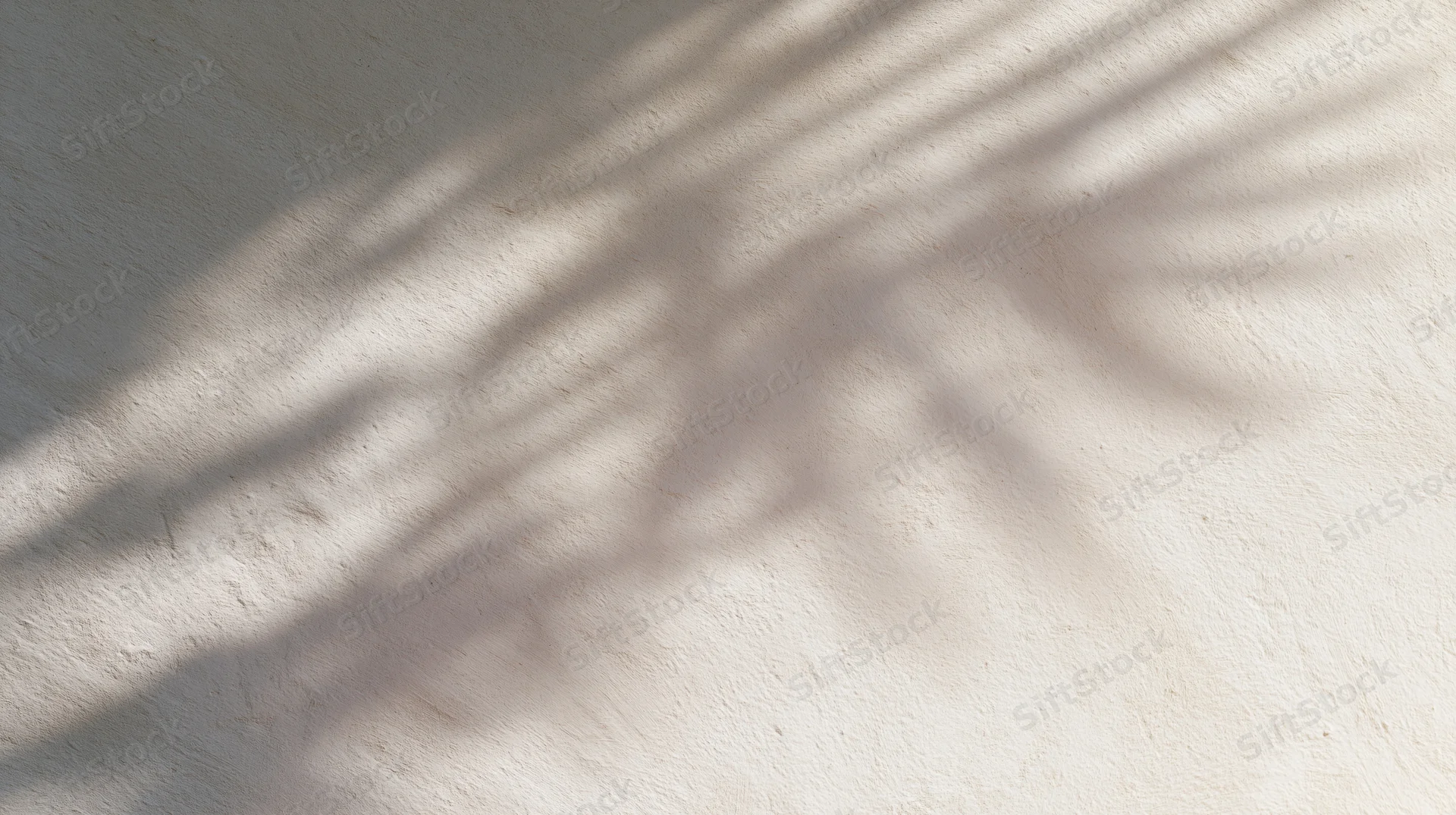 Palm frond shadow cast on a textured beige wall outdoors