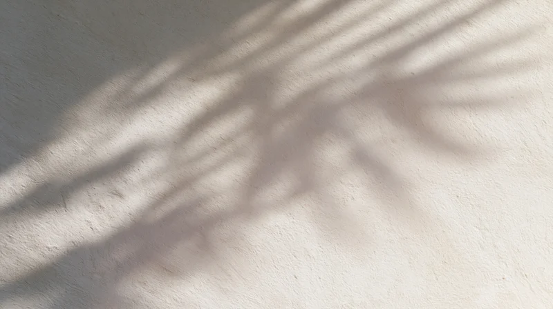 Palm frond shadow cast on a textured beige wall outdoors