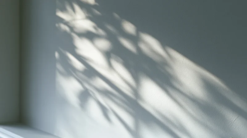 Sunlight casting leaf shadows on a gray interior wall near a window corner