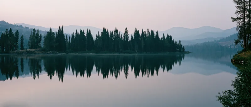 Calm lake reflecting dense pine forest along shoreline at twilight