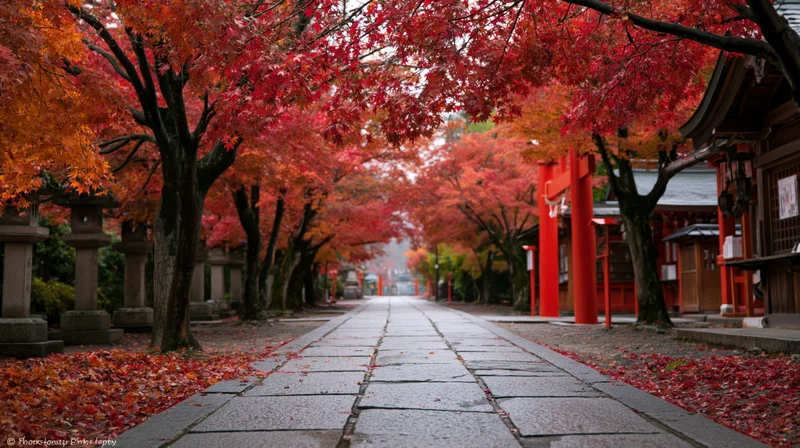 Red maple trees lining a stone pathway leading to a shinto shrine in autumn japan