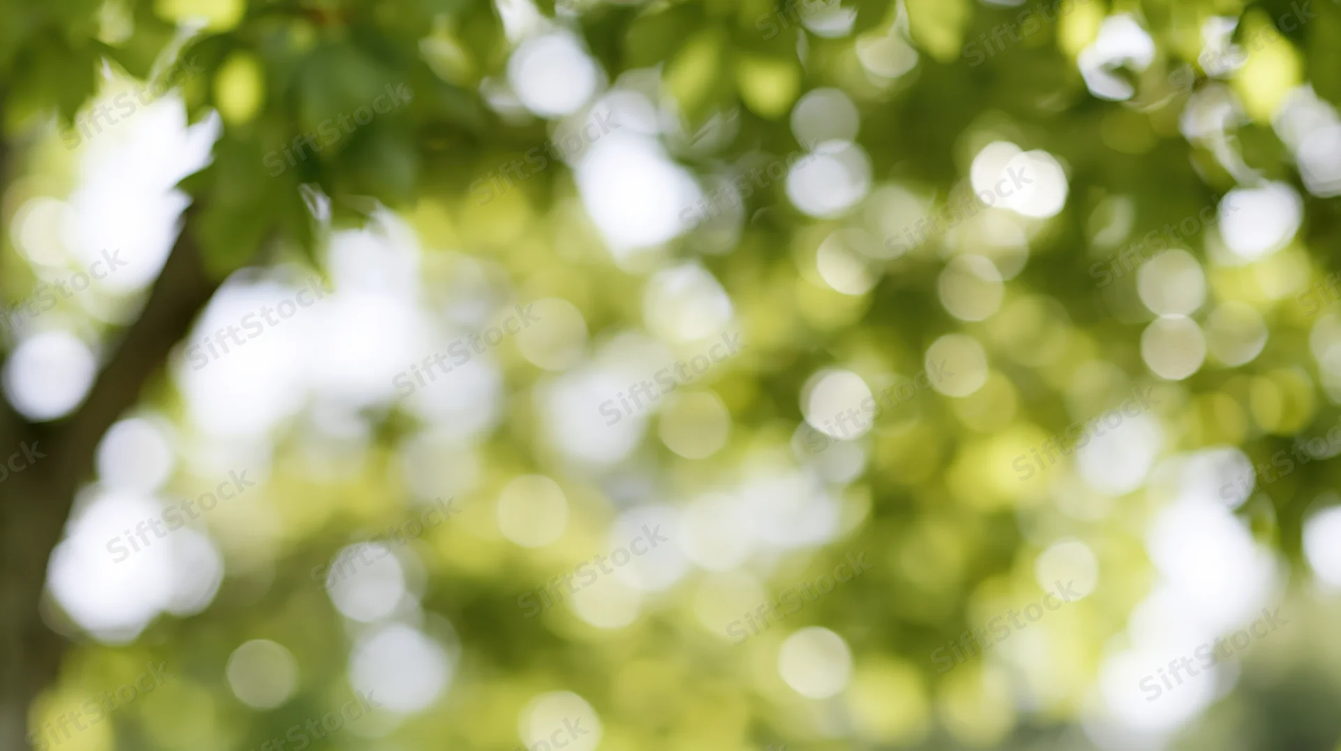 Blurred green leaves with sunlight filtering through in a natural outdoor setting