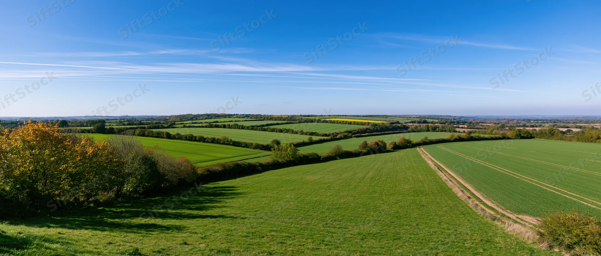 Expansive green fields and hedgerows under a clear blue sky in rural countryside