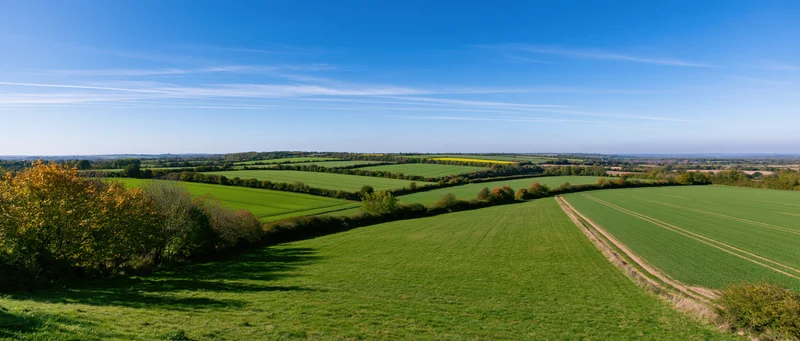 Expansive green fields and hedgerows under a clear blue sky in rural countryside