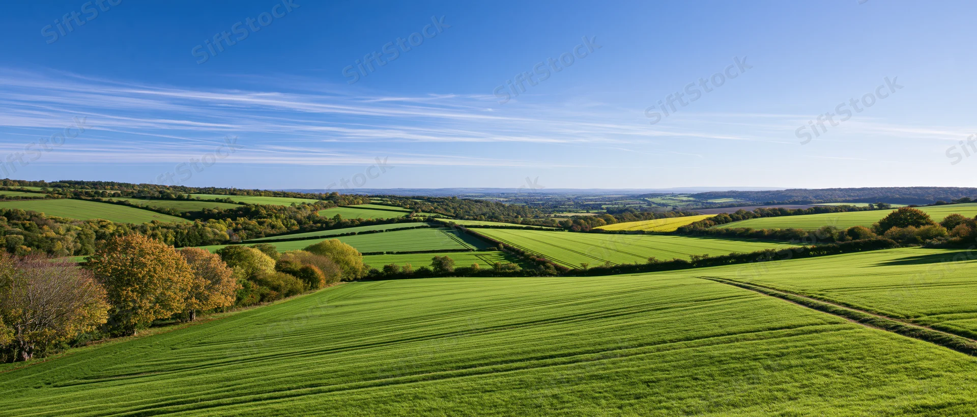 Rolling green farmland with hedgerows and autumn trees under a clear blue sky