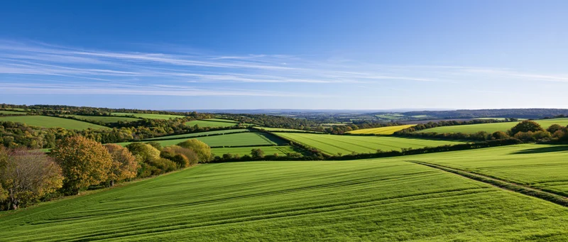 Rolling green farmland with hedgerows and autumn trees under a clear blue sky