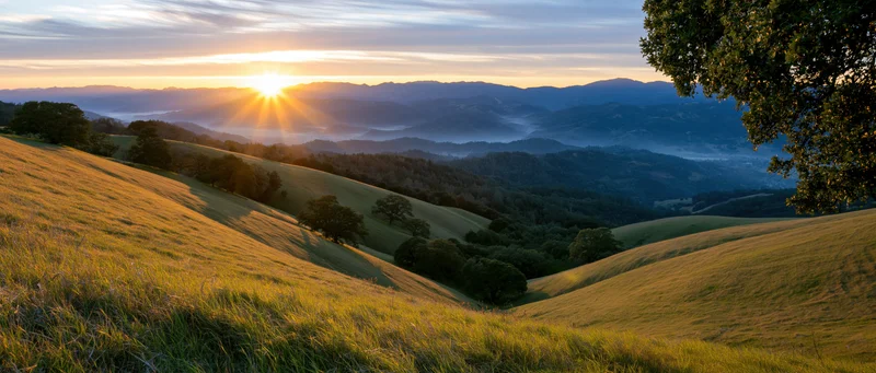 Sunrise over rolling hills and valleys with scattered oak trees in a rural landscape