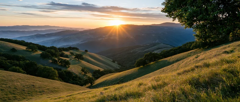 Golden sunlight over rolling hills and valleys in a rural landscape at sunset