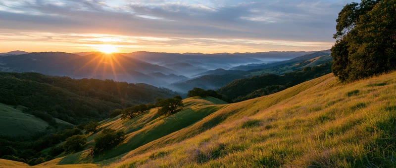 Sunrise over rolling hills and valleys with golden grass and scattered trees in a rural landscape