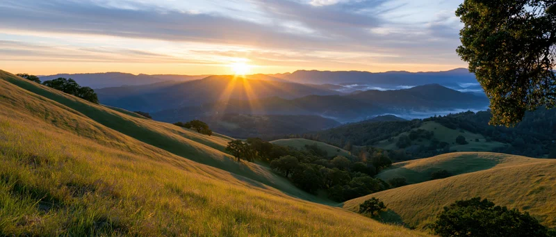 Sunrise over rolling hills and valleys with golden grass and scattered trees in a rural landscape