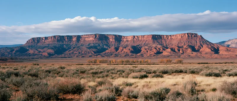 Red rock mesa rising over arid scrubland under blue sky with scattered clouds